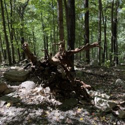 Spruce Knob - Seneca Rocks National Recreation Area