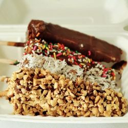 Bobablastic - Tillamook - Cheese Cakes