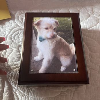 Small Paws Cremations - His remains - Pet Cremation Services Near Me - Los Angeles, California
