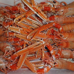 Welch Fishmongers