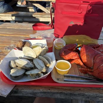 Five Islands Lobster - 2.7lb lobster, lb of steamers, potatoes and corn - Seafood Near Me - Georgetown, Maine
