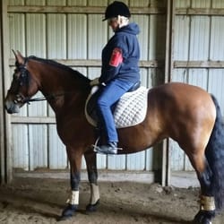 Wildwin Stable