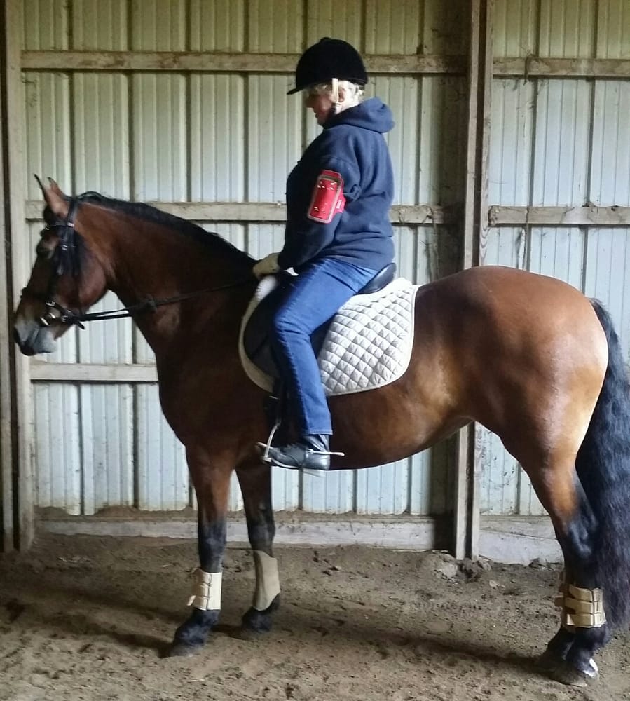 Wildwin Stable - equestrian in Greensburg, PA