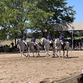 Tempel Lipizzans - Horse Boarding Near Me - Old Mill Creek, Illinois Tempel Lipizzans - Horse Boarding Near Me - Old Mill Creek, Illinois