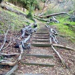 Start of the climb