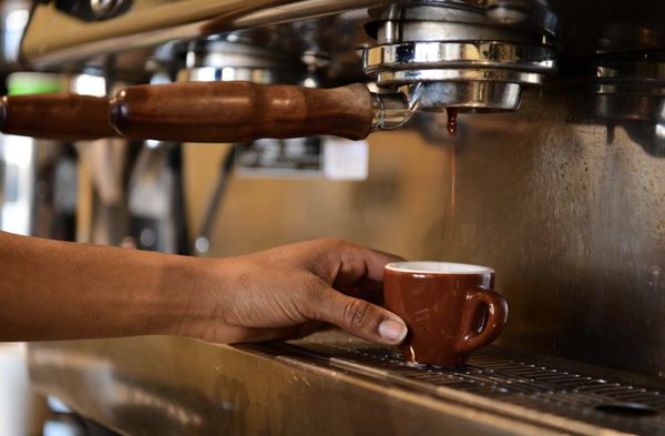 Pitango Gelato & Coffee by null