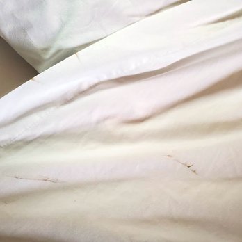 Ocean Cove Inn - NASTY DIRTY SHEETS!!! - Hotels Near Me - Yachats, Oregon Ocean Cove Inn - NASTY DIRTY SHEETS!!! - Hotels Near Me - Yachats, Oregon