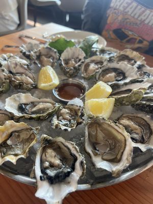 Half Shell by null