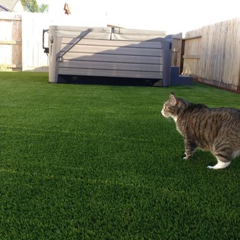 4 Seasons Green - Sprocket approves of the grass! - Landscaping Near Me - San Jose, California 4 Seasons Green - Sprocket approves of the grass! - Landscaping Near Me - San Jose, California