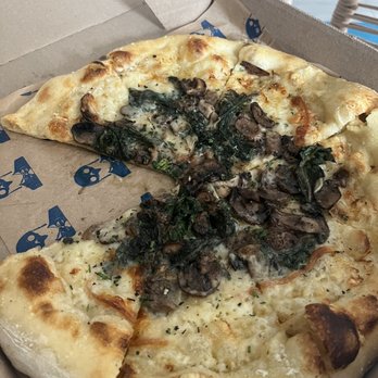 Doughbird - Wild Mushroom - Pizza Near Me - Phoenix, Arizona Doughbird - Wild Mushroom - Pizza Near Me - Phoenix, Arizona