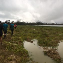 Swamp Romp