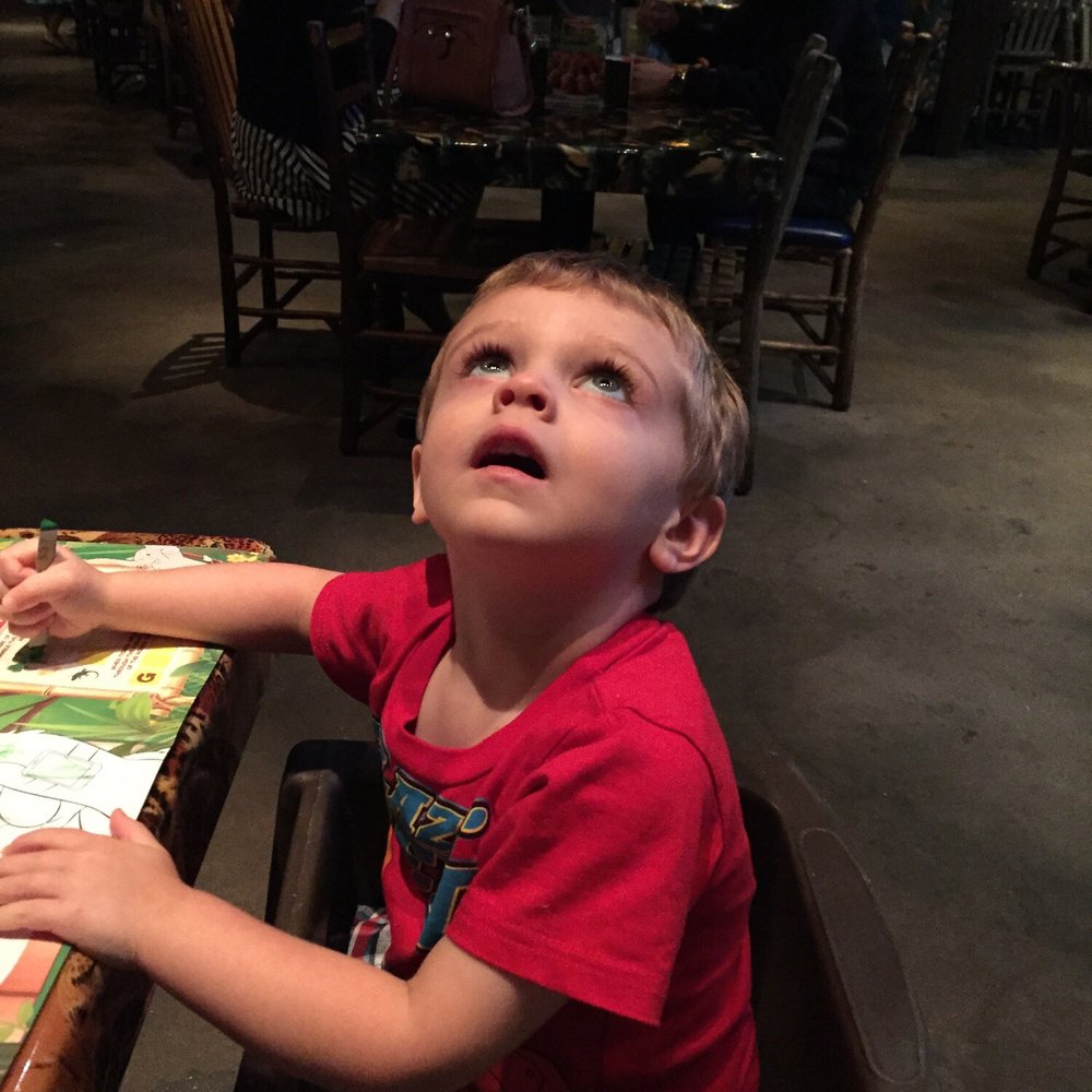 Rainforest Cafe - The rainforest thunder & lights are amazing! He's in awe - American Near Me - Katy, Texas