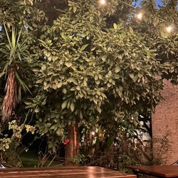 Dodici Pizza & Wine - Outside