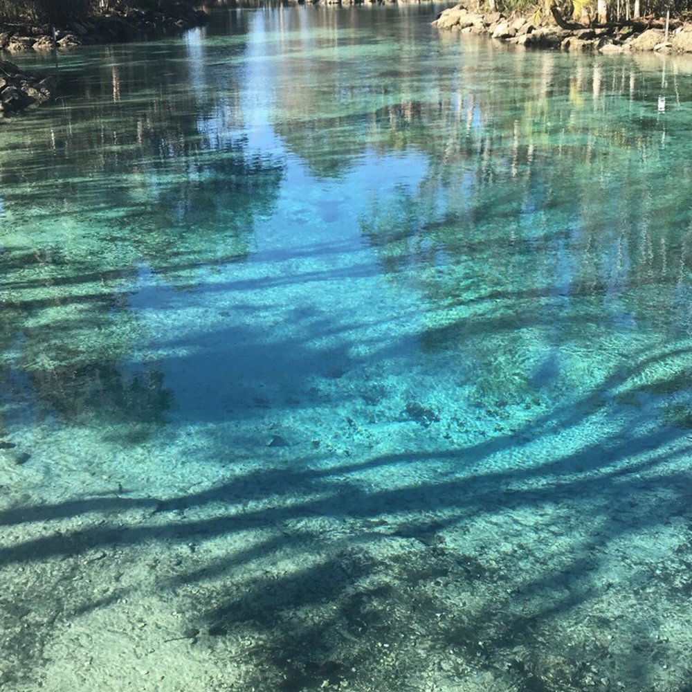 Three Sisters Springs - Tours Near Me - Crystal River, Florida Three Sisters Springs - Tours Near Me - Crystal River, Florida