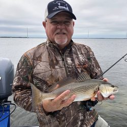 Redfish