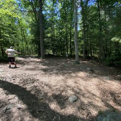 Crane Hill Disc Golf - Birdy on 4