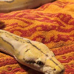 Reptile Resources