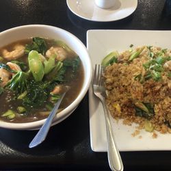 Zapp Noodle - Thai fried rice and Rad na Thai noodles with gravy