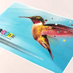 FTB Print & Mail