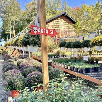Groovy Plants Ranch - Nurseries & Gardening Near Me - Marengo, Ohio
