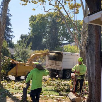 Franco Tree Service - Tree Services Near Me - Gilroy, California