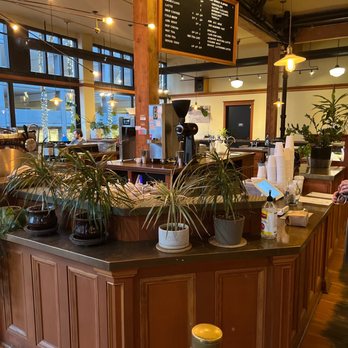 Case Study Coffee - Coffee & Tea Near Me - Portland, Oregon Case Study Coffee - Coffee & Tea Near Me - Portland, Oregon