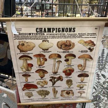 World Market - Home Decor Near Me - Mission Viejo, California World Market - Home Decor Near Me - Mission Viejo, California