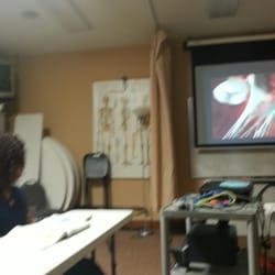 Galleo Pool Service - Skeletal system