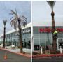 Hagan Tree Service