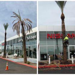 Hagan Tree Service