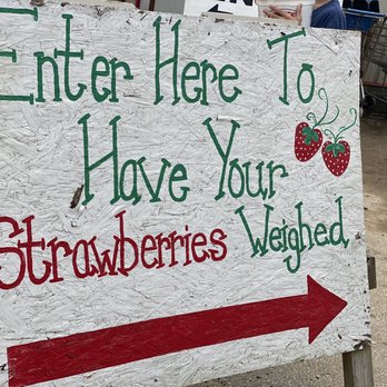 Froberg's Farm - Pick Your Own Farms Near Me - Alvin, Texas Froberg's Farm - Pick Your Own Farms Near Me - Alvin, Texas