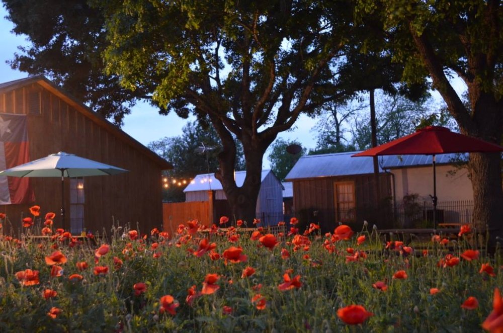 SERENDIPITY AT FIORELLA Updated September 2024 1212 Fiorella St