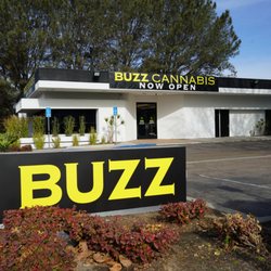 Buzz Cannabis