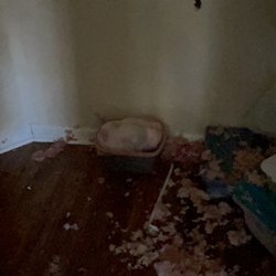 SERVPRO of Cherokee County