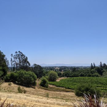 Fog Crest Vineyard - Wine Tasting Room Near Me - Sebastopol, California Fog Crest Vineyard - Wine Tasting Room Near Me - Sebastopol, California