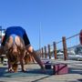 Photo of Mantra Yoga & Aerial Arts