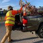 Photo of Elite Yard Services