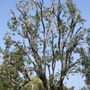 Photo of R & J Tree Service