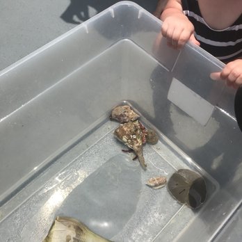 Island Boat Adventures - Tours Near Me - Gulfport, Florida Island Boat Adventures - Tours Near Me - Gulfport, Florida