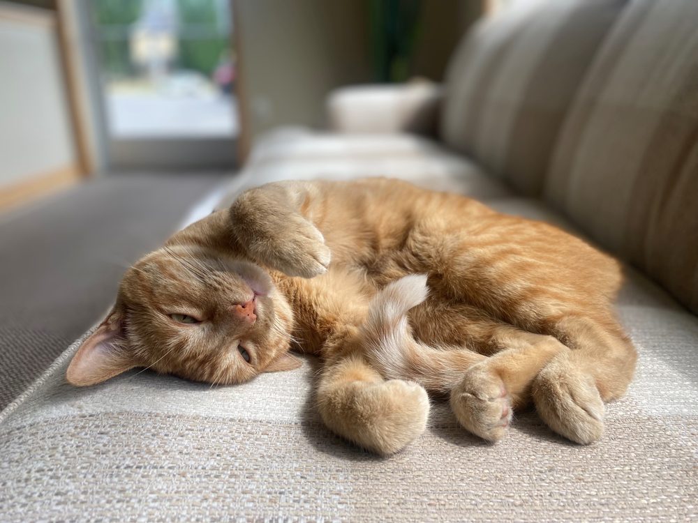 SRB Property Management - property management company in Milton, WI