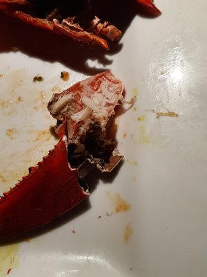 Christinas on the Danforth by null