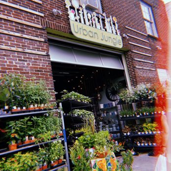 Urban Jungle - Nurseries & Gardening Near Me - Philadelphia, Pennsylvania Urban Jungle - Nurseries & Gardening Near Me - Philadelphia, Pennsylvania