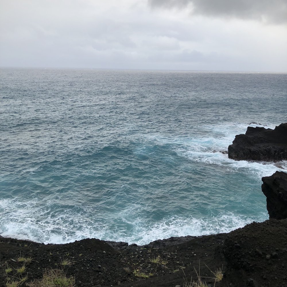 Aloha Hawaii Tours - Bus Tours Near Me - Honolulu, Hawaii Aloha Hawaii Tours - Bus Tours Near Me - Honolulu, Hawaii