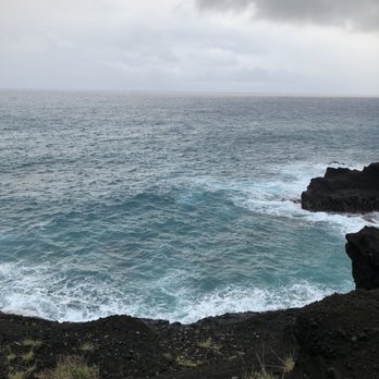 Aloha Hawaii Tours - Bus Tours Near Me - Honolulu, Hawaii Aloha Hawaii Tours - Bus Tours Near Me - Honolulu, Hawaii