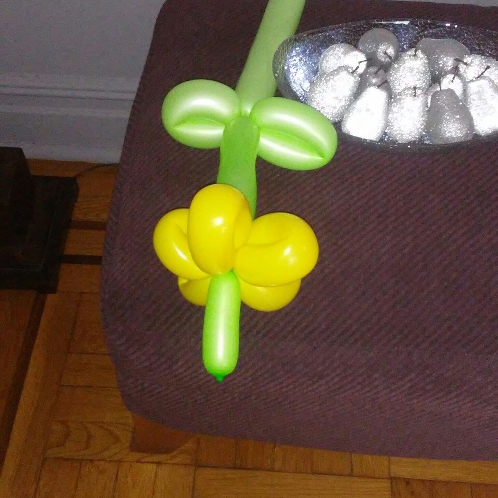 Different balloon animals he made. Different balloon animals he made.