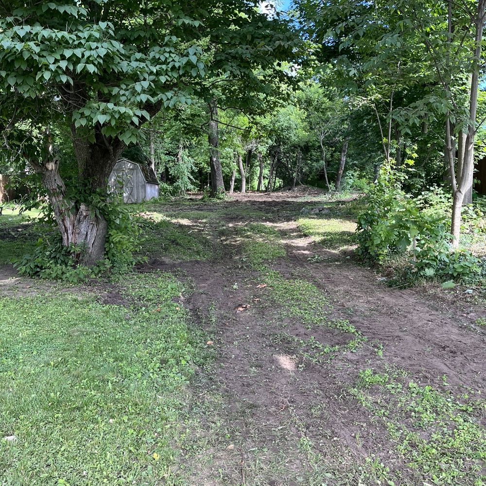 Black River Tree Removal - After! - Tree Services Near Me