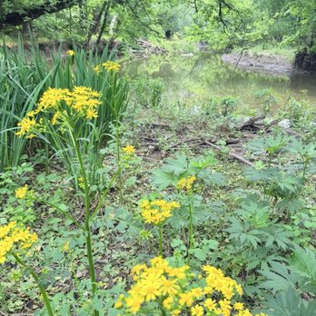 Forest Glen Woods - Parks Near Me - Chicago, Illinois