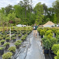 Gardener Nursery