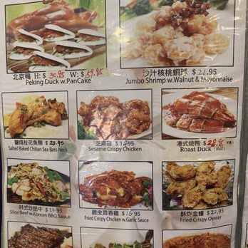 XO Taste - Chinese Near Me - New York, New York