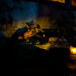 Pirates des caraibes